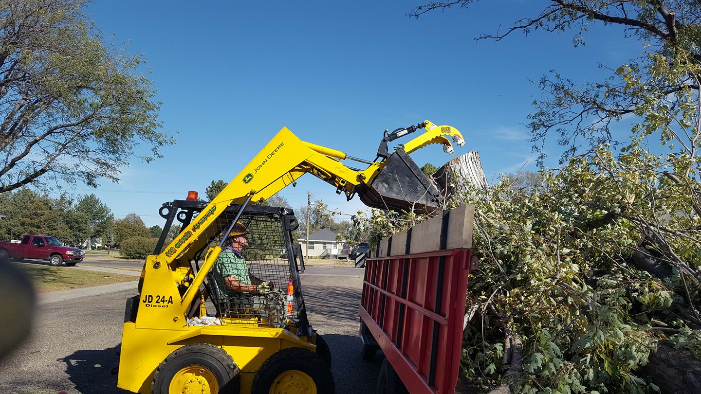 Tree Services Cleanup